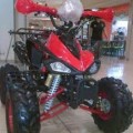Motor ATV 110cc Ring 8 (NEW READY)