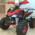 MOTOR ATV 110CC RING 8
