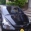 Honda Jazz vtec sporty 2008