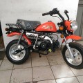 New Honda Mongkay Orange 110cc