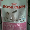 Royal Canin Cat Food Murah (PROMO)
