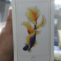di jual apple iphone 6s plus 64gb bm murah batam