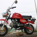 New Honda Mongkay 110cc