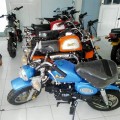 New Honda Mongkay 110cc