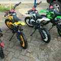 New Mini Trail 50cc