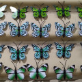 kupu kupu magnet import hijau,butterfly dekorasi suvenir hiasan 3D