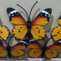 kupu kupu magnet import orange,butterfly dekorasi suvenir hiasan 3D