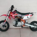 New Mini Trail TRX 110 CC ,Junior