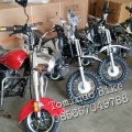 Motor Mini Harley Davidson