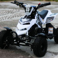 New ATV Mini 50cc
