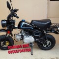 New Reflika Honda Mongkay 110cc