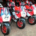 New Mini Gp 50cc