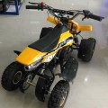 Motor ATV 50cc