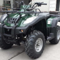 CANYON 250cc Air Cooled Utility Quad ATV