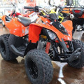 Atv Can-Am DS 90