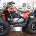 Motor Atv Can-Am DS 90