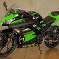 Kawasaki Ninja 300