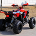 MOTOR ATV 250cc