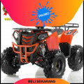 Wa O82I-3I4O-4O44, motor atv murah 125cc Kab. Barito Timur