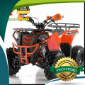 Wa O82I-3I4O-4O44, motor atv murah 125cc Kab. Mappi