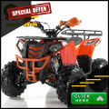 Wa O82I-3I4O-4O44, motor atv murah 125cc Kab. Mamberamo Tengah
