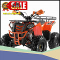 Wa O82I-3I4O-4O44, motor atv murah 125cc Kab. Raja Ampat