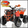 Wa O82I-3I4O-4O44, motor atv murah 125cc Kab. Mamasa