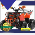 Wa O82I-3I4O-4O44, motor atv murah 125cc Kab. Kediri