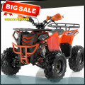 Wa O82I-3I4O-4O44, motor atv murah 125cc Kab. Luwu Utara