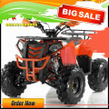 Wa O82I-3I4O-4O44, motor atv murah 125cc Kab. Sigi