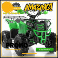 Wa O82I-3I4O-4O44, motor atv  Kab. Pesisir Barat