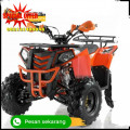 Wa O82I-3I4O-4O44, motor atv  Kab. Lombok Tengah