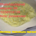 High quality amphotericin B cas 1397-89-3 with low price