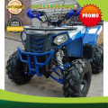 Wa O82I-3I4O-4O44, distributor agen motor atv murah 125cc 150 cc 200 cc 250 cc Kab. Ketapang