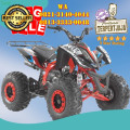 Wa O82I-3I4O-4O44, penjual  motor atv 125 cc harga murah  Kab. Gayo Lues