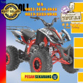 Wa O82I-3I4O-4O44, penjual  motor atv 125 cc harga murah  Kab. Tapanuli Tengah