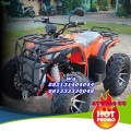 Wa O82I-3I4O-4O44,  MOTOR ATV 300 CC | MOTOR ATV MURAH 4 x 4 | Tulungagung