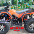 ATV | MOTOR ATV 300 CC | MOTOR ATV MURAH 4 x 4 | Malang