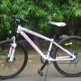 Jual sepeda wimcycle RX-DX