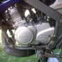 Jual Ninja R 2001 (Biru)