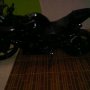 JUAL  NINJA 250RR HITAM 2010