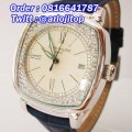 AIGNER Bary A37500 Leather (GLBR)