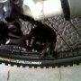 Jual Giant Terrago 2011 size M